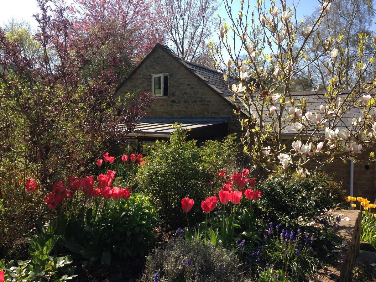 Bagnell Cottage Chiselborough Kültér fotó