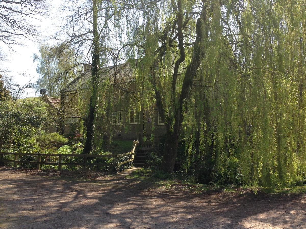 Bagnell Cottage Chiselborough Kültér fotó