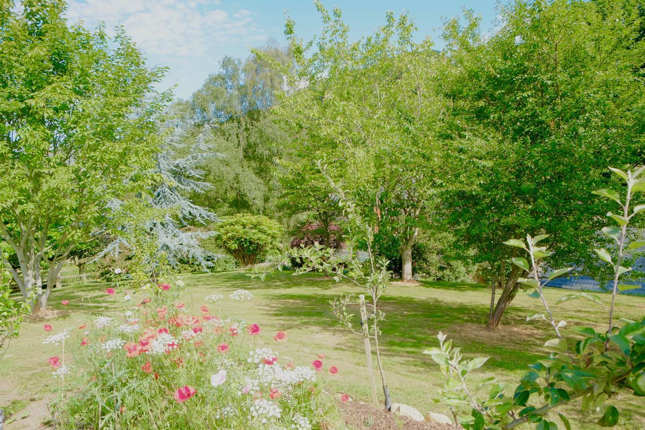 Bagnell Cottage Chiselborough Kültér fotó