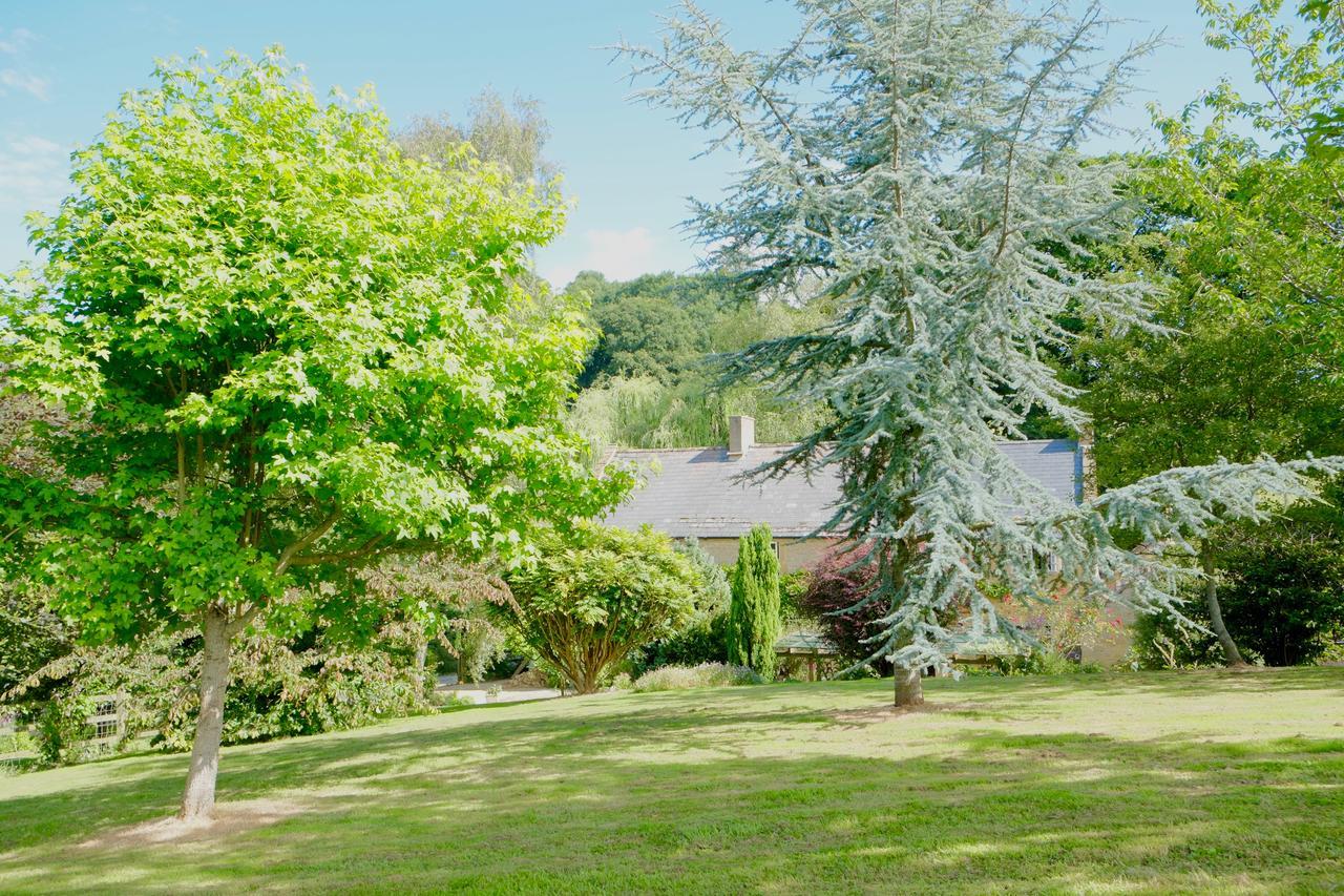 Bagnell Cottage Chiselborough Kültér fotó