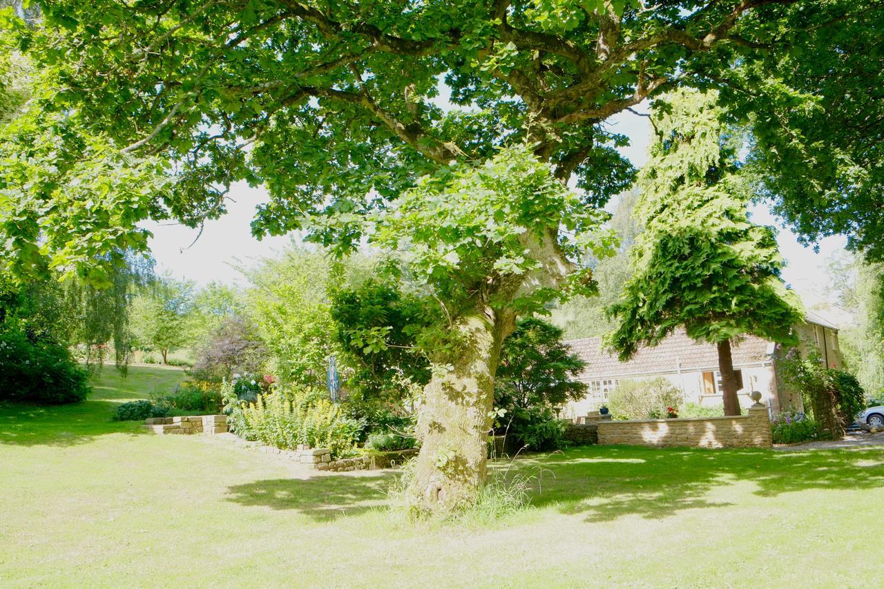 Bagnell Cottage Chiselborough Kültér fotó